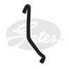 GATES 3906 Radiator Hose